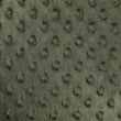 Load image into Gallery viewer, Minky Dots - FabricPlanet