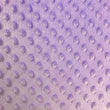 Load image into Gallery viewer, Minky Dots - FabricPlanet