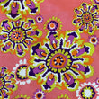 Load image into Gallery viewer, Silk Prints - FabricPlanet