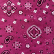 Load image into Gallery viewer, Bandana Print - FabricPlanet