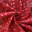 Load image into Gallery viewer, Bandana Print - FabricPlanet