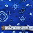 Load image into Gallery viewer, Bandana Print - FabricPlanet