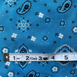 Load image into Gallery viewer, Bandana Print - FabricPlanet