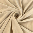 Load image into Gallery viewer, Polyester Stretch Velvet - FabricPlanet