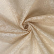 Load image into Gallery viewer, Polyester Non Stretch Lace - FabricPlanet