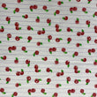 Load image into Gallery viewer, Cotton Print - FabricPlanet