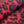 Load image into Gallery viewer, Velboa Cheetah - FabricPlanet
