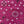 Load image into Gallery viewer, Bandana Print - FabricPlanet
