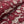Load image into Gallery viewer, Polyester Non Stretch Lace - FabricPlanet
