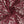 Load image into Gallery viewer, Polyester Non Stretch Lace - FabricPlanet
