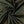 Load image into Gallery viewer, Cotton Gauze - FabricPlanet
