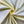 Load image into Gallery viewer, Stretch Cotton Poplin - FabricPlanet
