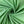 Load image into Gallery viewer, Stretch Cotton Poplin - FabricPlanet
