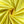 Load image into Gallery viewer, Stretch Cotton Poplin - FabricPlanet
