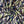 Load image into Gallery viewer, Silk Prints - FabricPlanet
