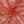 Load image into Gallery viewer, Polyester Non Stretch Lace - FabricPlanet
