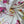 Load image into Gallery viewer, Silk Prints - FabricPlanet

