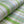 Load image into Gallery viewer, Cotton Print - FabricPlanet
