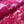 Load image into Gallery viewer, Polyester Non Stretch Lace - FabricPlanet

