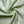 Load image into Gallery viewer, Minky - FabricPlanet
