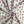 Load image into Gallery viewer, Cotton Print - FabricPlanet
