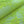 Load image into Gallery viewer, Polyester Stretch Lace - FabricPlanet
