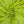 Load image into Gallery viewer, Polyester Non Stretch Lace - FabricPlanet

