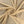 Load image into Gallery viewer, Polyester Solid Chiffon - FabricPlanet
