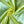 Load image into Gallery viewer, Polyester Satin - FabricPlanet
