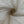 Load image into Gallery viewer, Polyester Tulle - FabricPlanet

