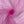 Load image into Gallery viewer, Polyester Tulle - FabricPlanet
