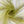 Load image into Gallery viewer, Polyester Tulle - FabricPlanet
