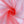 Load image into Gallery viewer, Polyester Tulle - FabricPlanet
