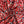 Load image into Gallery viewer, Cotton Print - FabricPlanet
