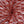 Load image into Gallery viewer, Polyester Stretch Lace - FabricPlanet
