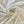Load image into Gallery viewer, Silk Prints - FabricPlanet
